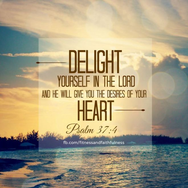 d04412ad24ac33107842eda1430bf595